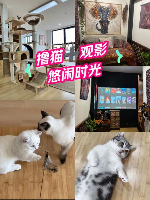 天堂电影院豆瓣的相关介绍