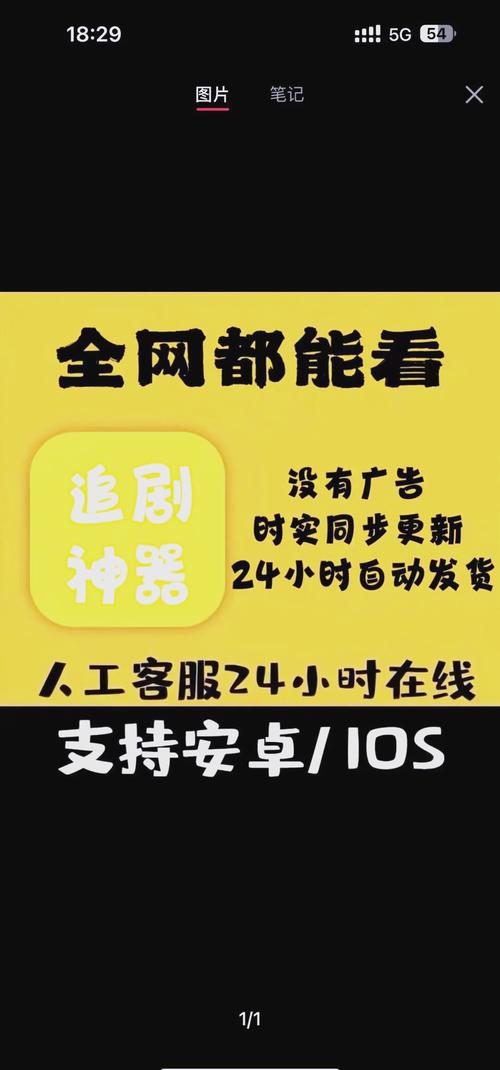 亚洲av少妇熟女综合网的相关介绍