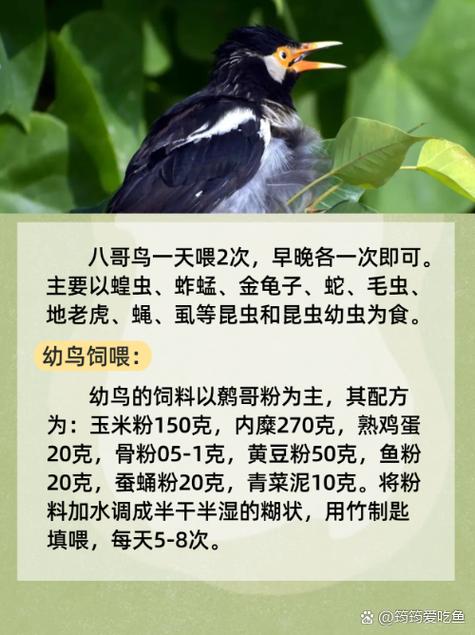 女生黄色分泌物是什么原因的相关介绍
