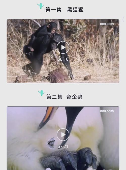 男人久久天堂av的相关介绍