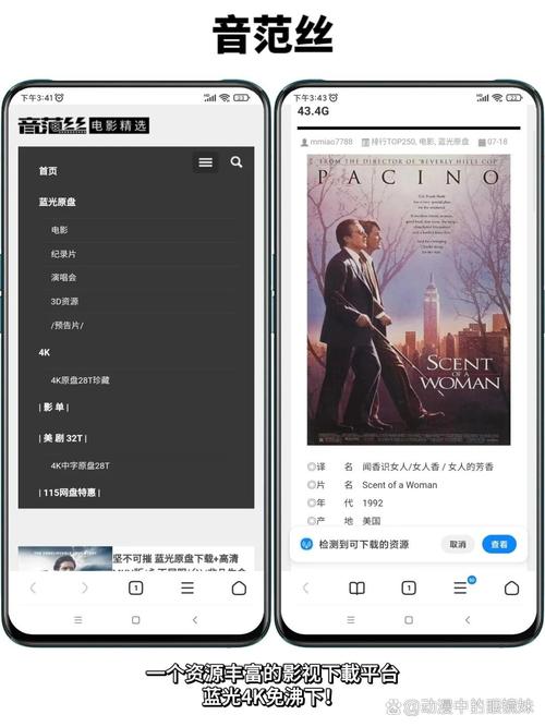 125影院的相关介绍