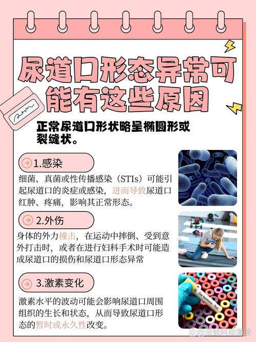 第八放映室影院手机版的相关介绍