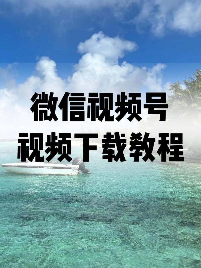 亚洲av少妇熟女综合网的相关介绍