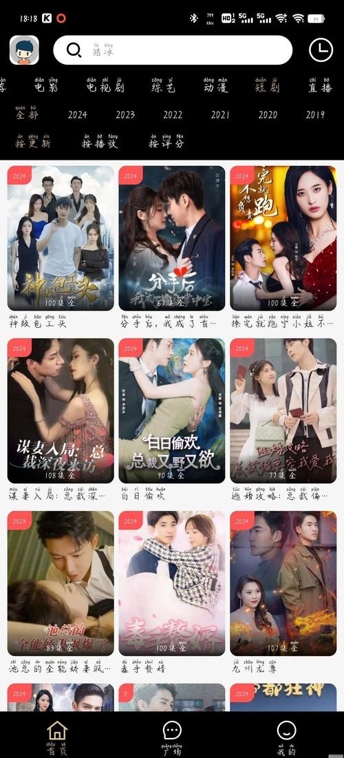 九一制片厂麻豆文化传媒的相关介绍