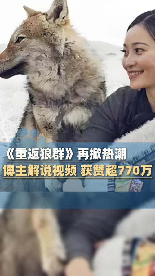 久久在精品线影院精品国产的相关介绍