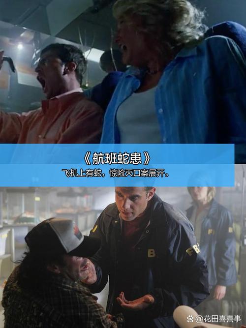 贺州电影院的相关介绍
