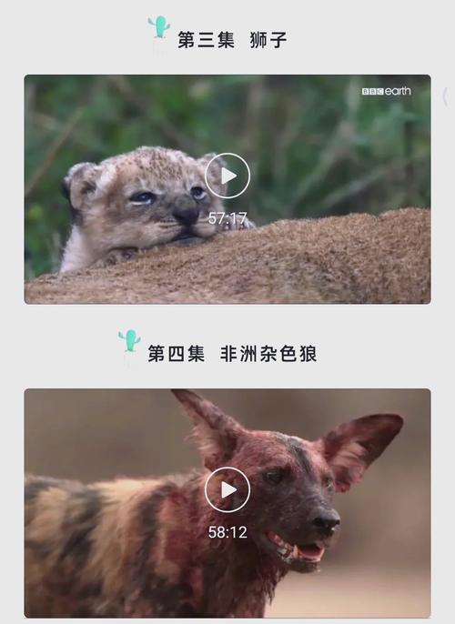 性感美女国产一区二区av的相关介绍