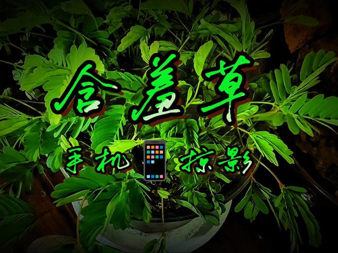 搞女人bb毛片的相关介绍