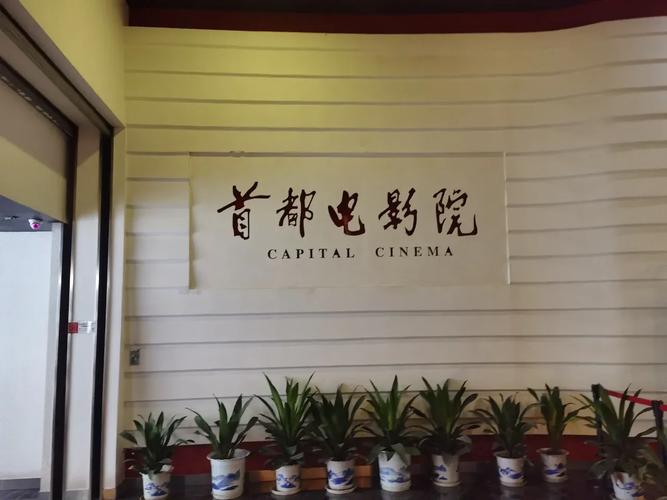 福州电影院的相关介绍