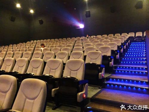 女性下体流分泌物发黄的相关介绍