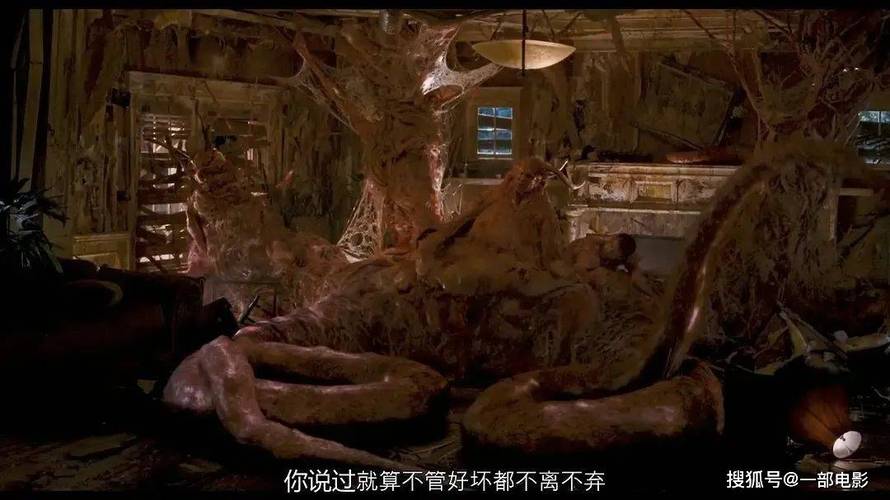 狠狠 撸在线影院的相关介绍