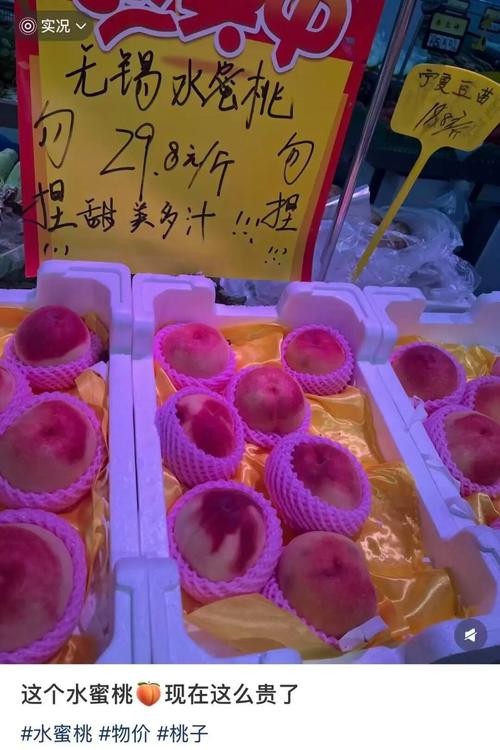 骑操美女老师的相关介绍