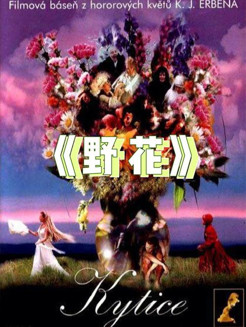 七频道影院的相关介绍