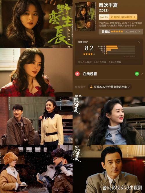 天下影院的相关介绍