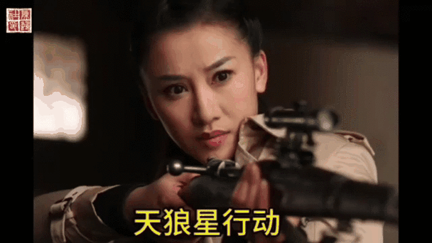 久久久精品久久久精品的相关介绍