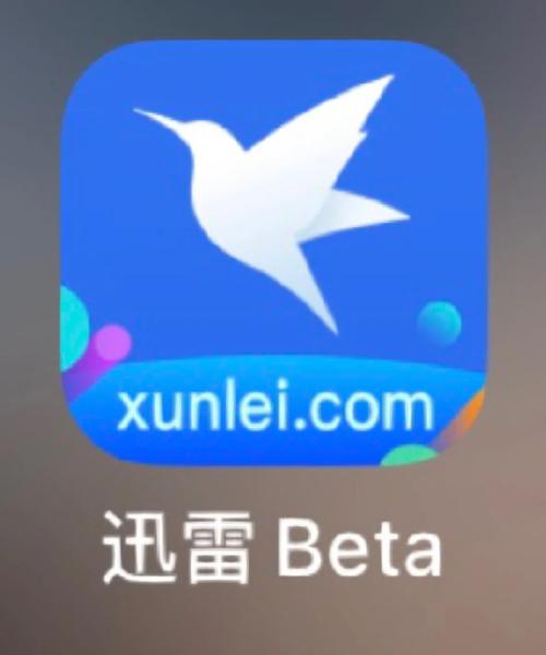 张柏芝大尺度照的相关介绍
