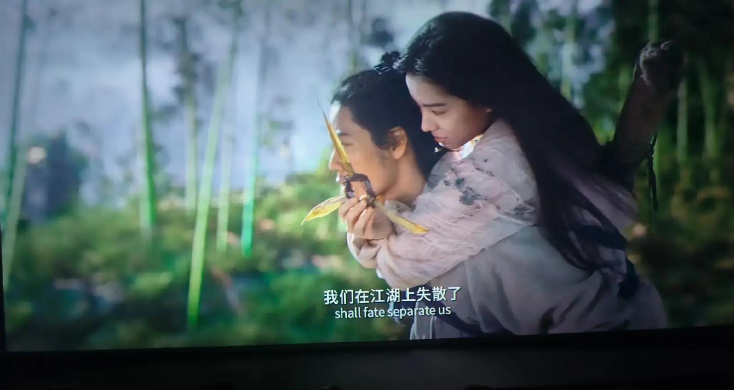 美女性感丝袜av一区二区的相关介绍