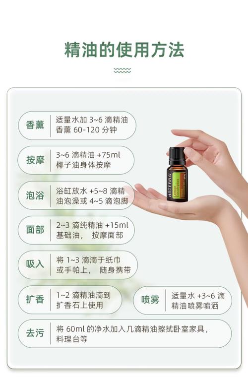 伊人大杳蕉在线影院视频的相关介绍