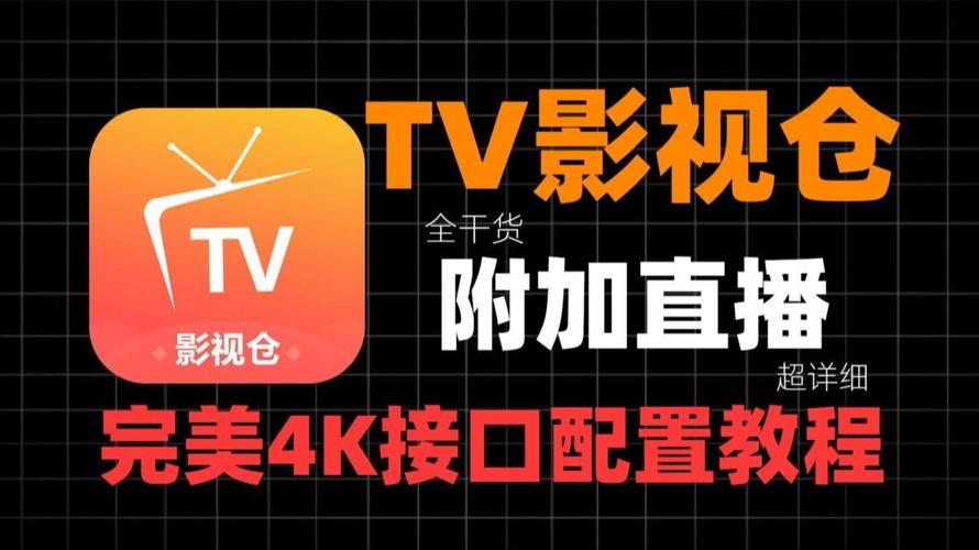 麻豆少妇av的相关介绍
