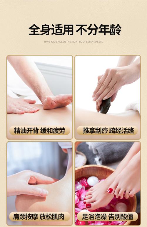 18禁网站直接看的相关介绍