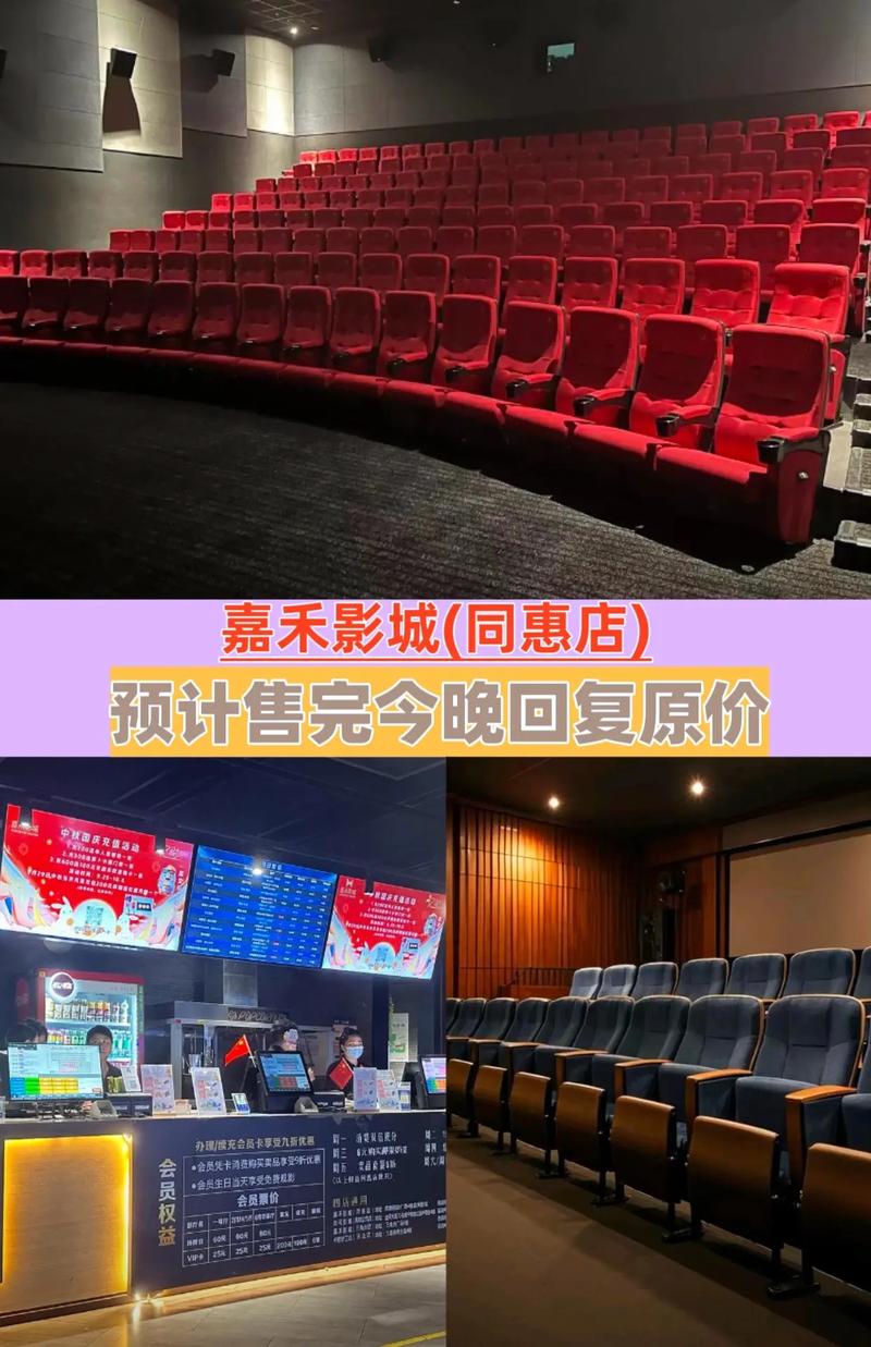 大地影院今日的相关介绍