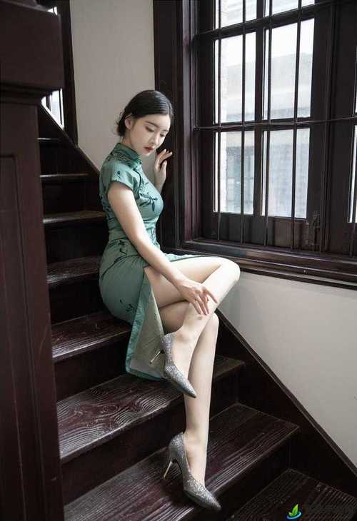 亚洲av美日韩av丝袜美腿护士的相关介绍
