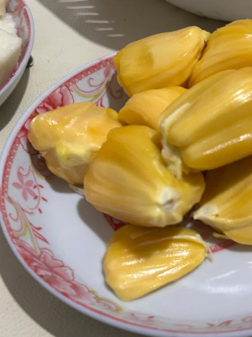 强暴小[子辣文的相关介绍