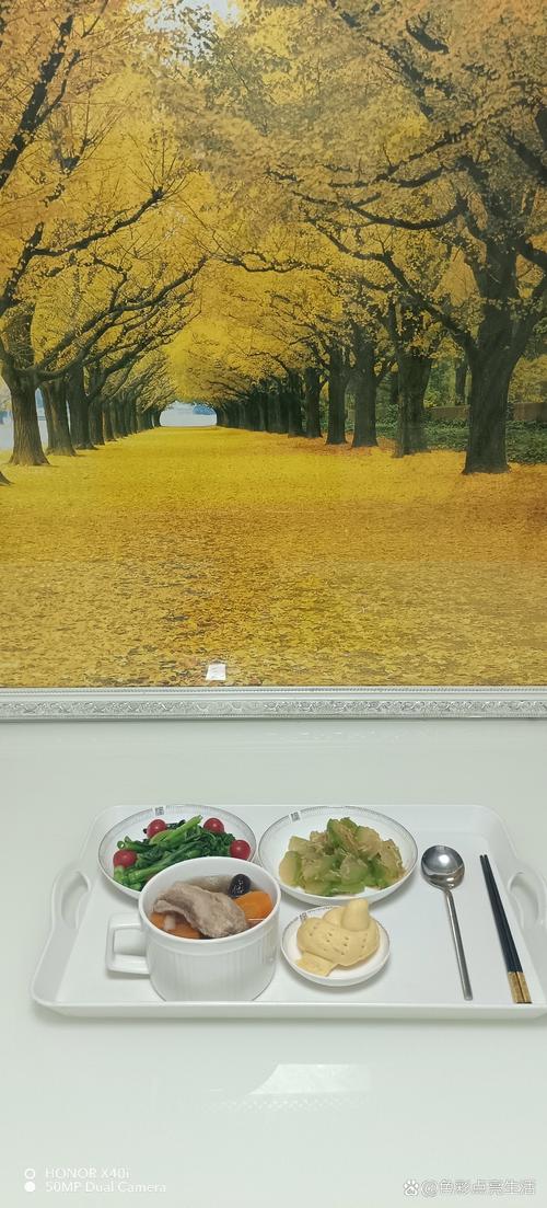 老司机影院普通区试看片精选推荐：高清流畅抢先体验，免费试看入口与精彩片段合集