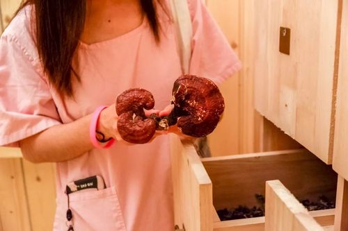 亚洲av黑丝美女免费看的相关介绍