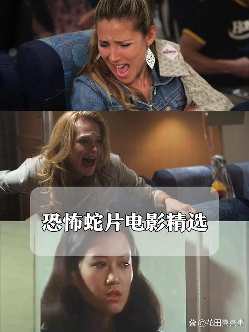 18女人免费看的相关介绍