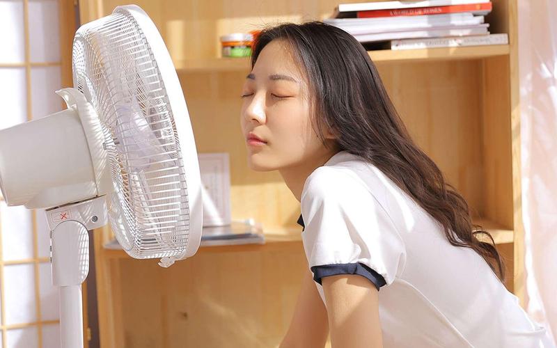 把美女操出白浆的相关介绍