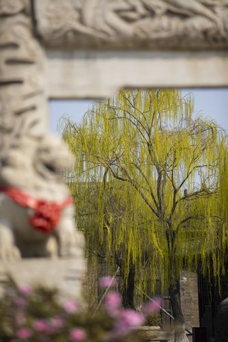 先锋影院的相关介绍