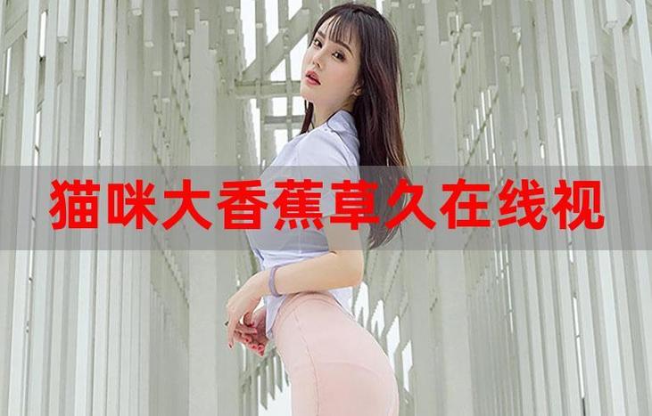 国产爽色的相关介绍