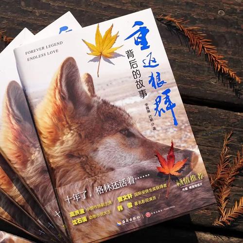 欧美影院的相关介绍