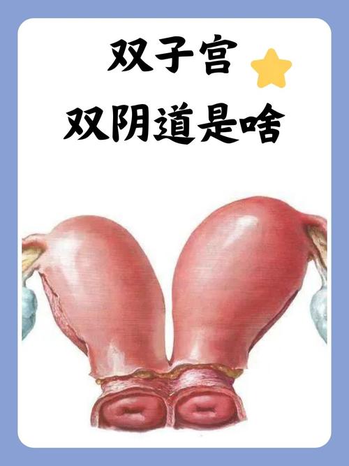 人妻少妇久久久的相关介绍