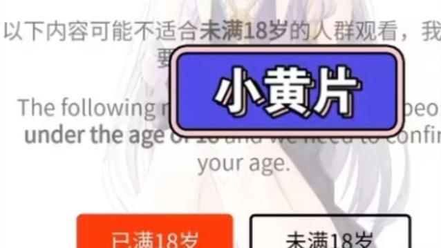 根据您的需求，生成的SEO标题如下：

**18岁禁止观看在线视频，如何识别违规内容与选择安全流媒体平台的长尾关键词指南**

（含3个长尾关键词：①18岁禁止观看在线视频 ②识别违规内容 ③安全流媒体平台）
