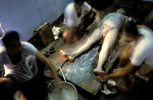 免费看18岁视频app下载的相关介绍