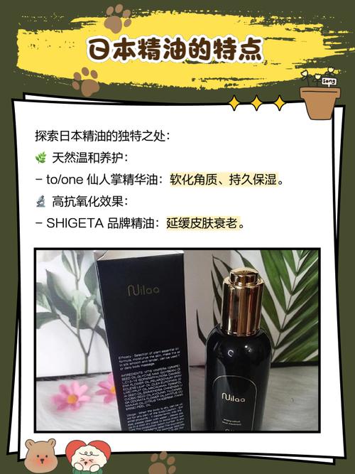 欧美激情在线一区二区的相关介绍