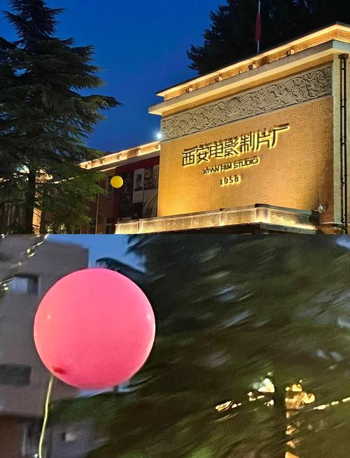 私人影院无在线码免费的相关介绍