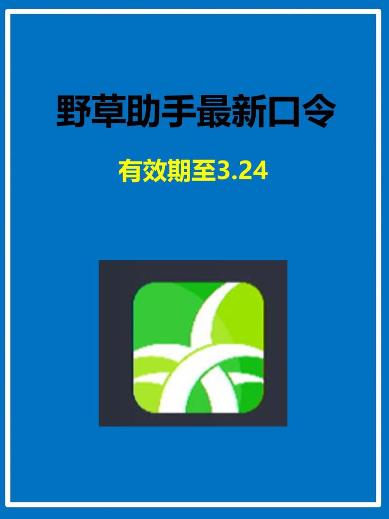 qq2002影院的相关介绍
