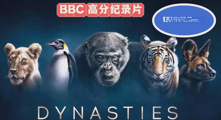 丝袜在线av的相关介绍