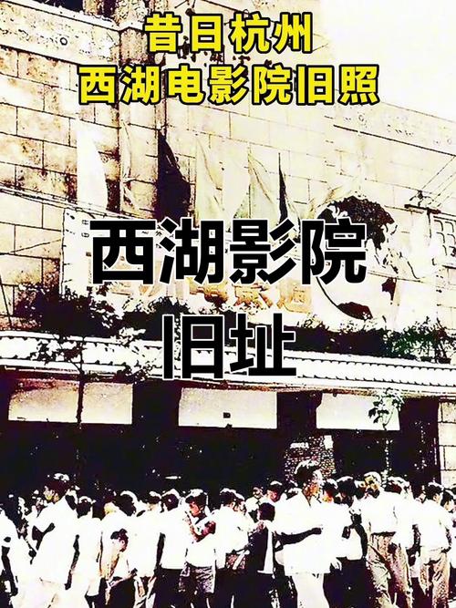 女秘书的女的的相关介绍