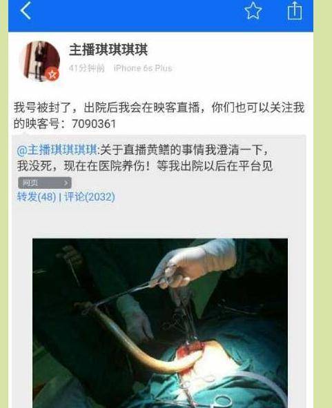 97影院官网手机版的相关介绍