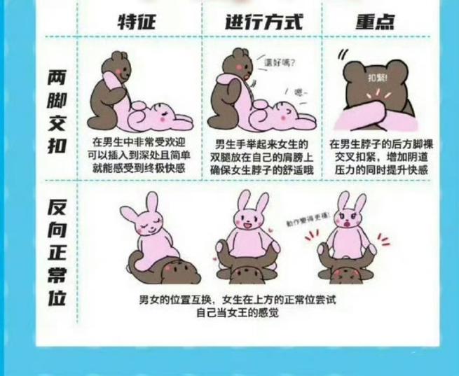 安狐影院的相关介绍