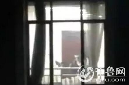风云影院的相关介绍