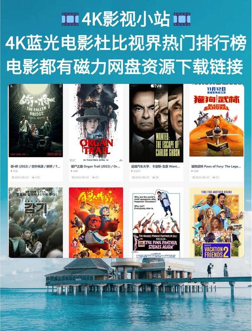 欧美色少妇高潮4444的相关介绍