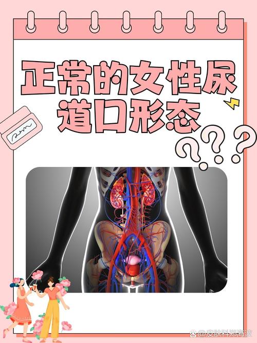 红楼电影院老照片回忆杀 | 重温经典胶片时光 | 小众文艺观影打卡地